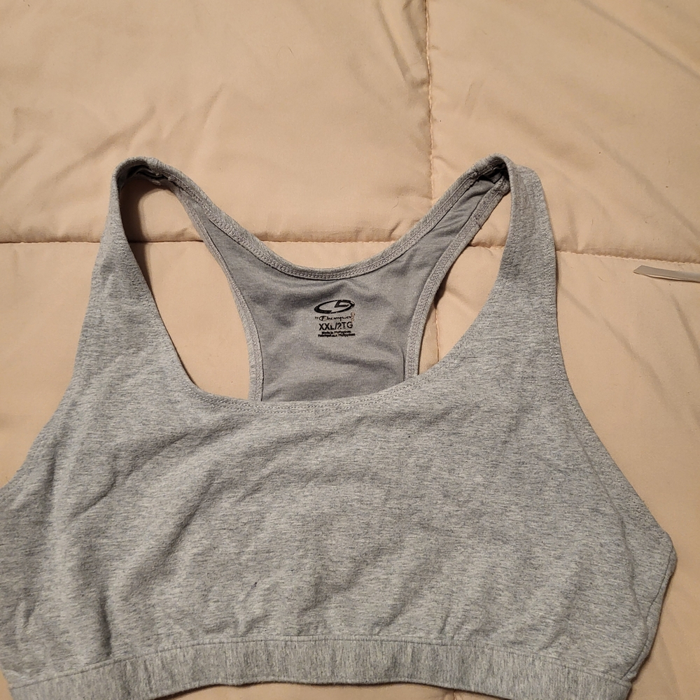 XXL Champion Gray Sports Bra